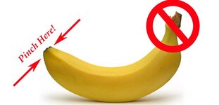 Foodthought-banana2-558x270.jpg